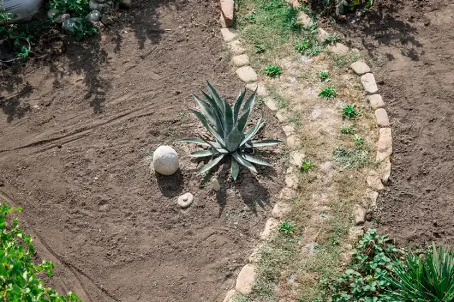 How Landscape Installation Can Improve Outdoor Functionality Accomac VA How Landscape Installation Can Improve Outdoor Functionality Accomac VA