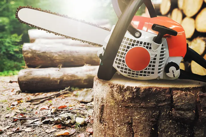 Reliable Tree Services Accomac VA Reliable Tree Services Accomac VA